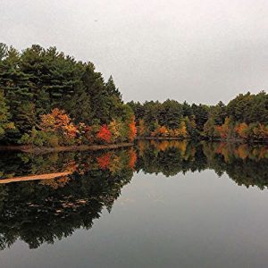 Middlesex Fells Narrative